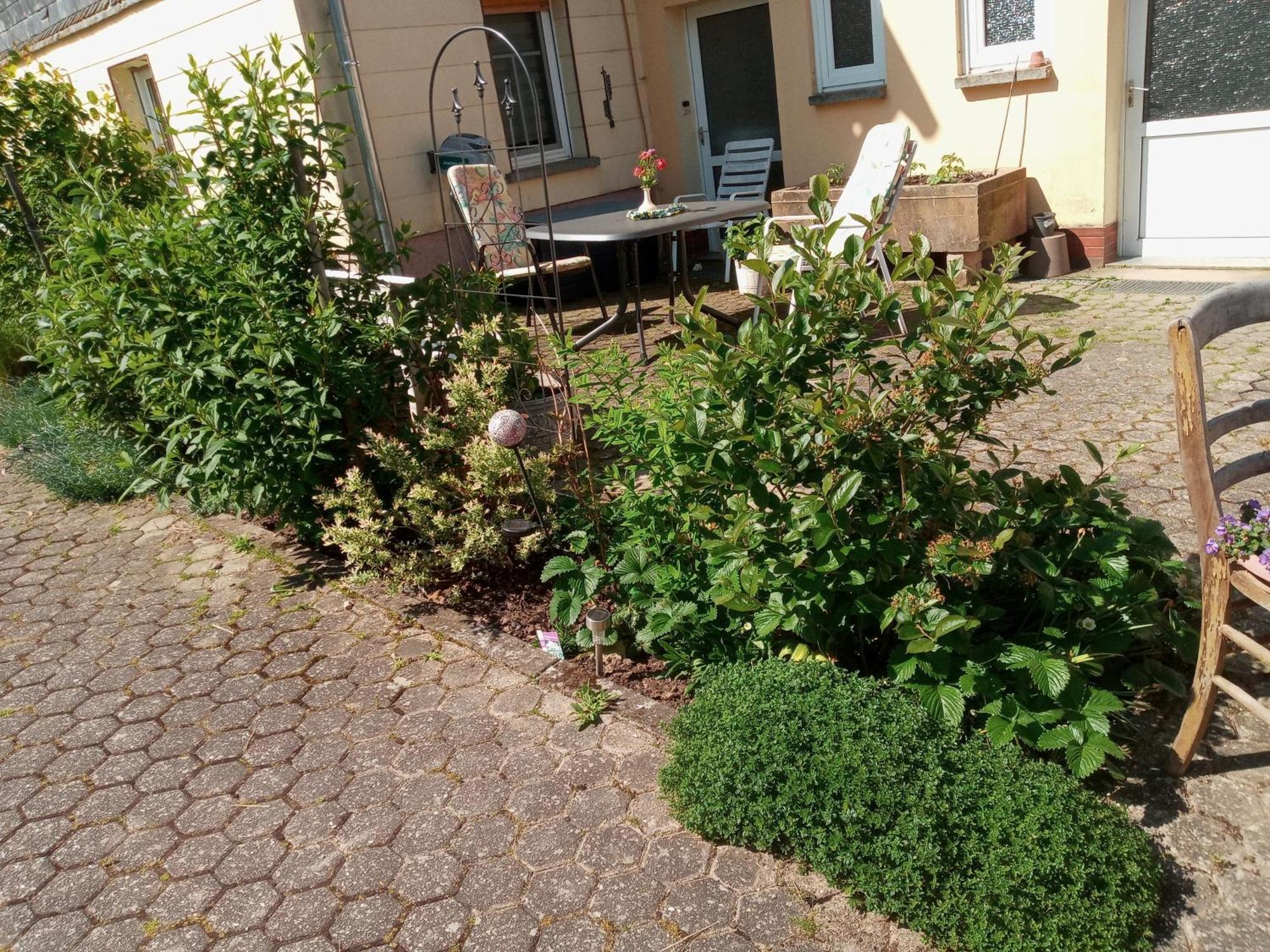 Kleinich Ferienwohnung Otto מראה חיצוני תמונה
