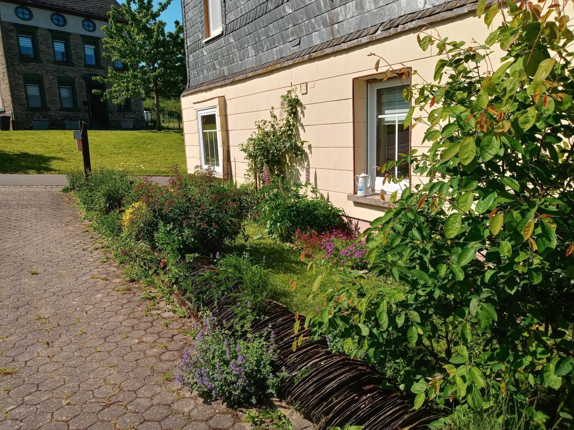 Kleinich Ferienwohnung Otto מראה חיצוני תמונה